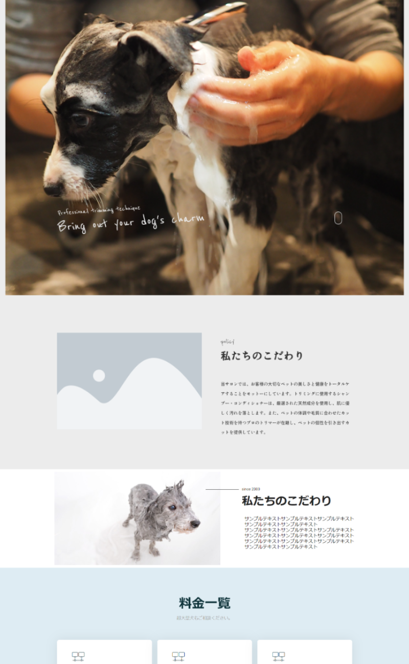 pet-02 1